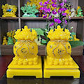 TÚI TIÊN KIM NGUYÊN BẢO